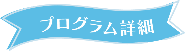プログラム詳細